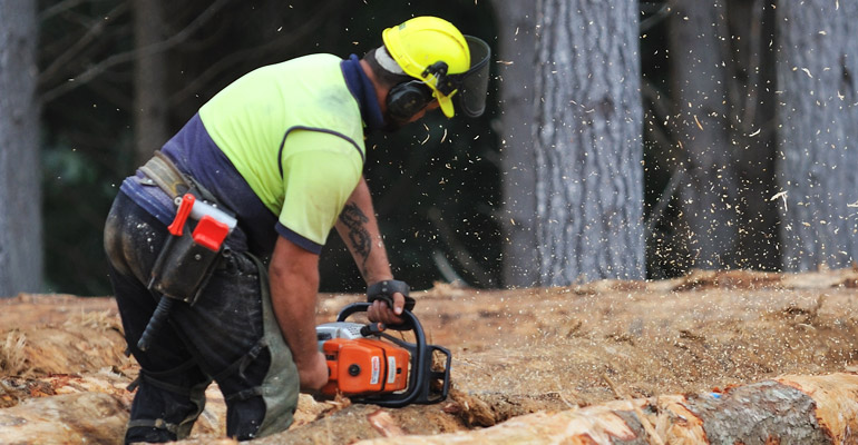 Tenco Logging in NZ forests